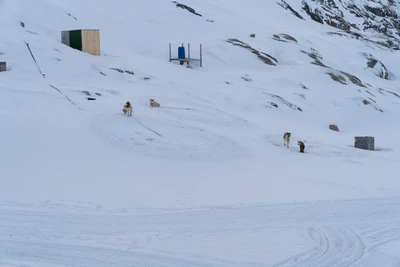 greenland town 021 — Скачать