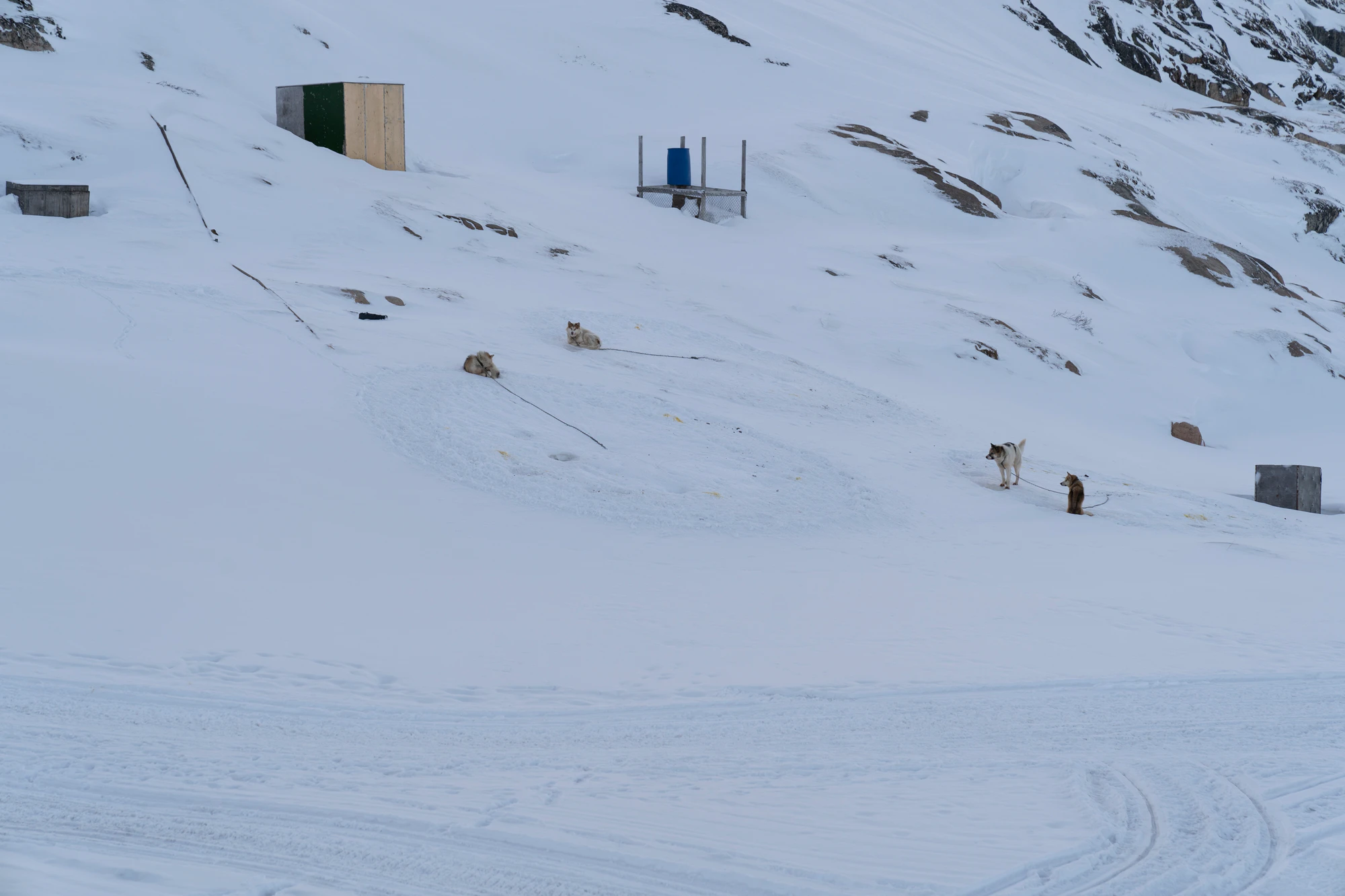 greenland town 026 — Скачать