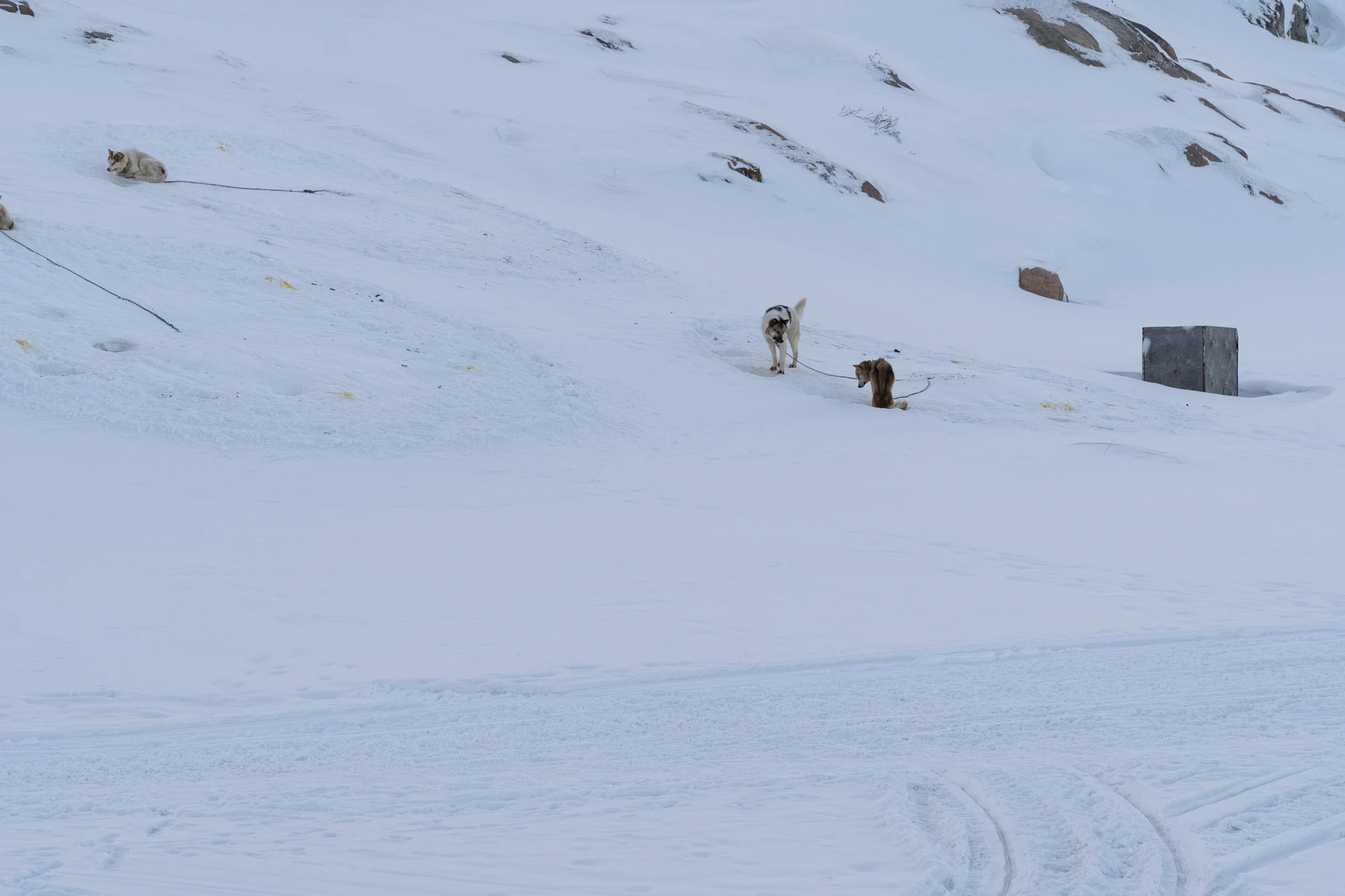 greenland town 027 — Descargar