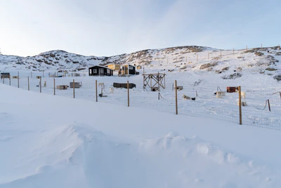 greenland town 035 — Скачать