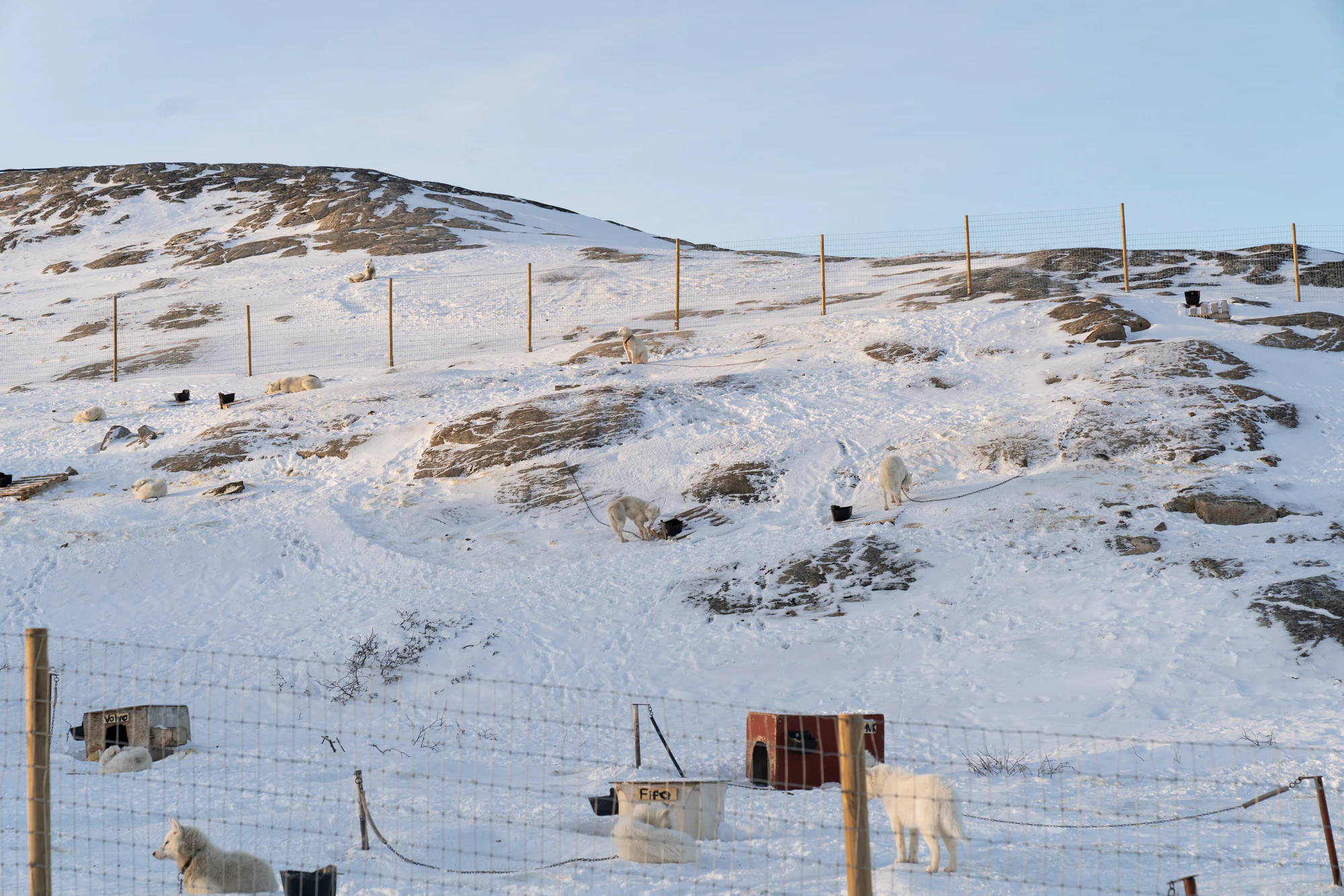 greenland town 036 — Скачать
