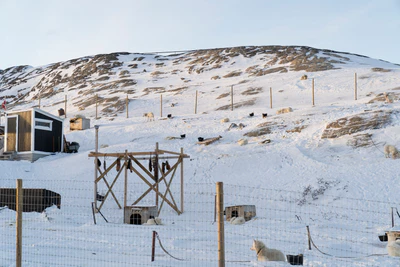 greenland town 037 — Скачать