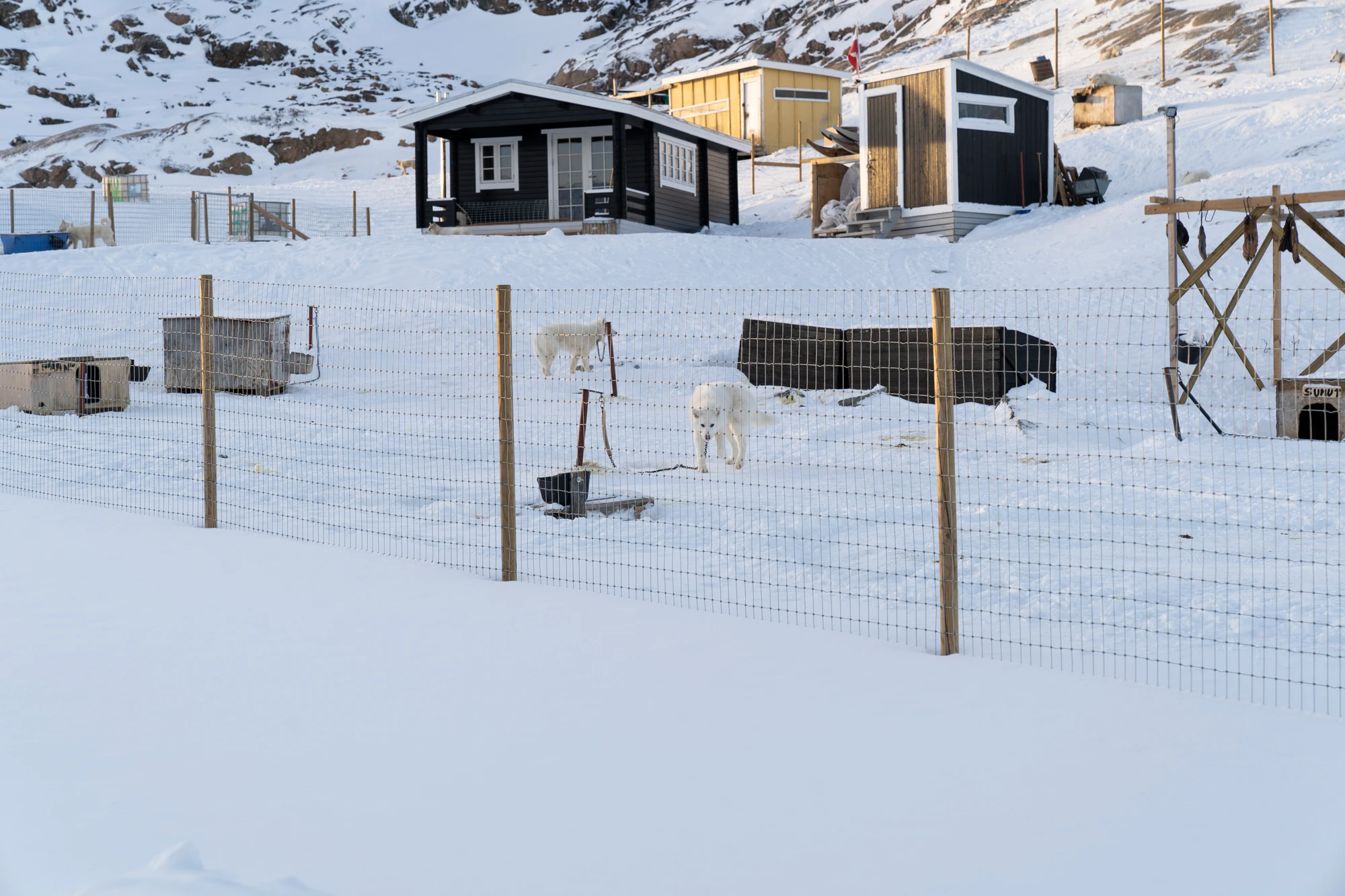 greenland town 039 — Descargar
