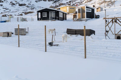 greenland town 039 — Descargar