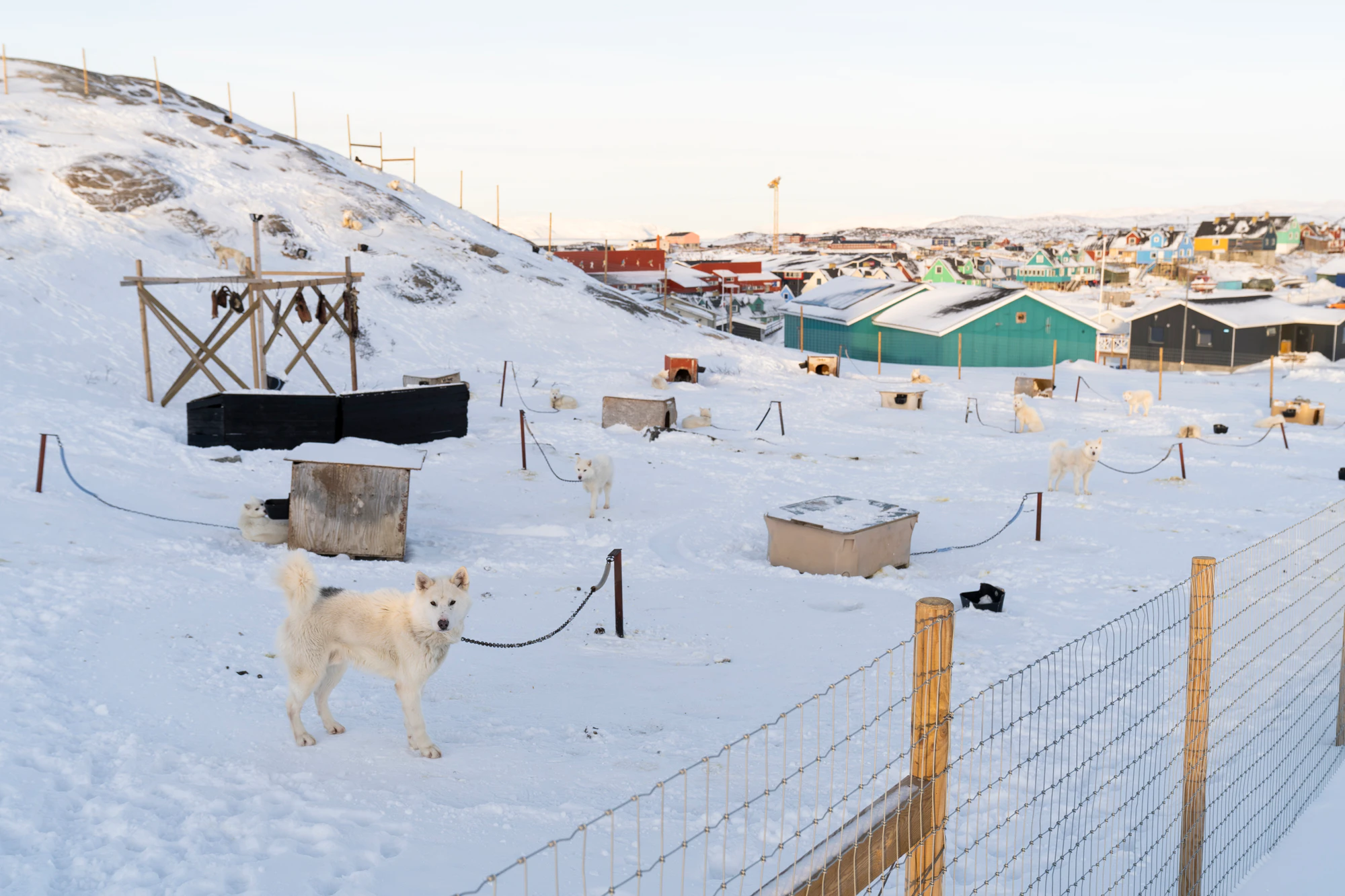 greenland town 043 — Скачать