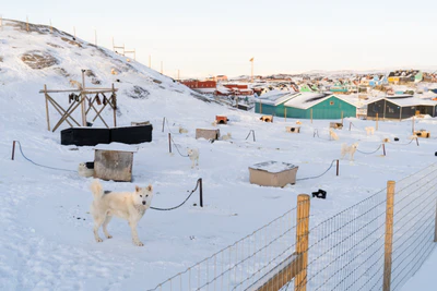 greenland town 043 — Скачать
