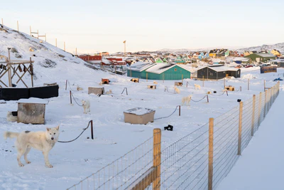 greenland town 044 — Download