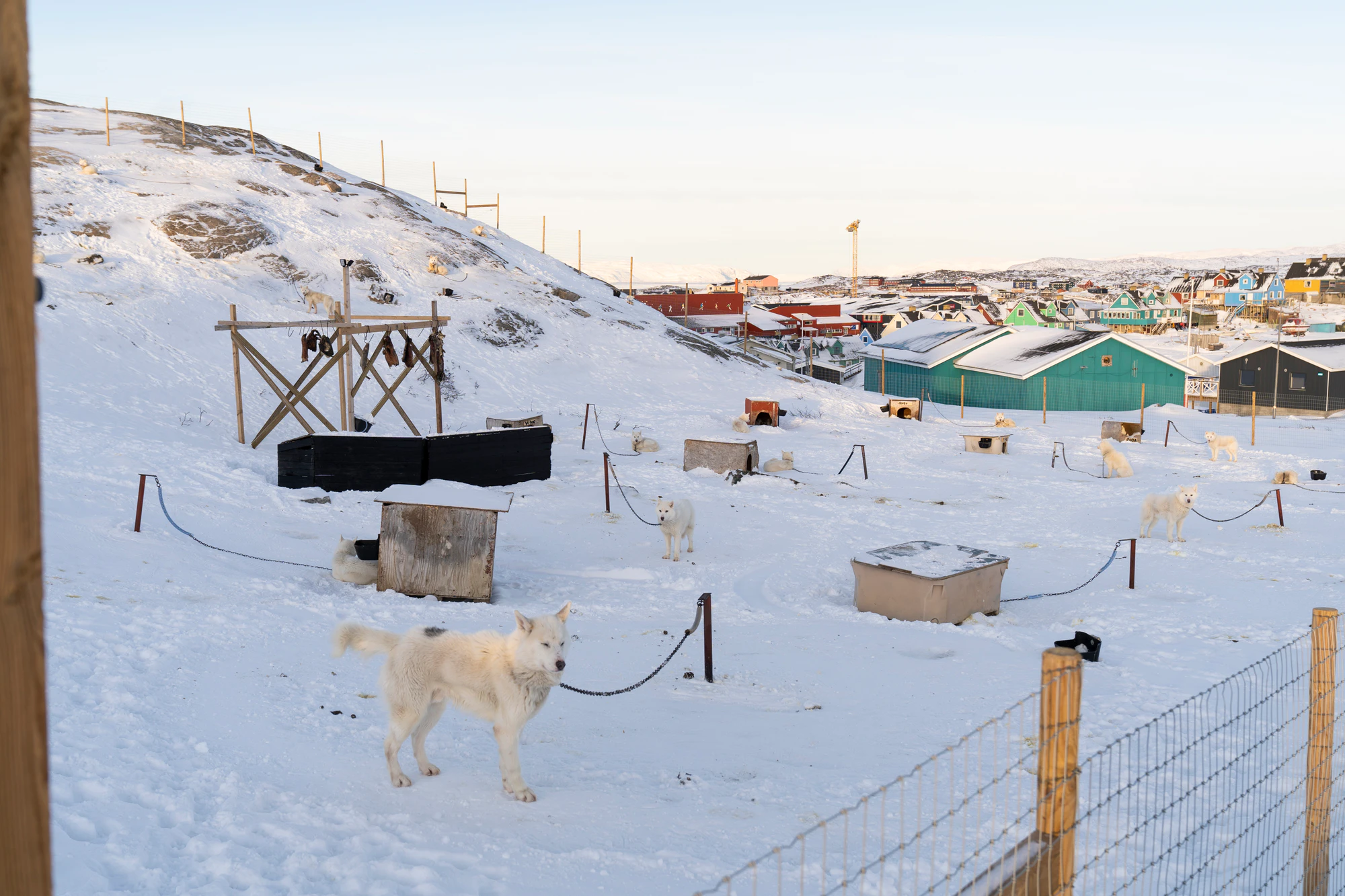 greenland town 045 — Descargar