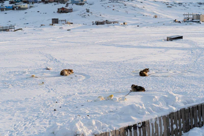 greenland town 055 — Descargar