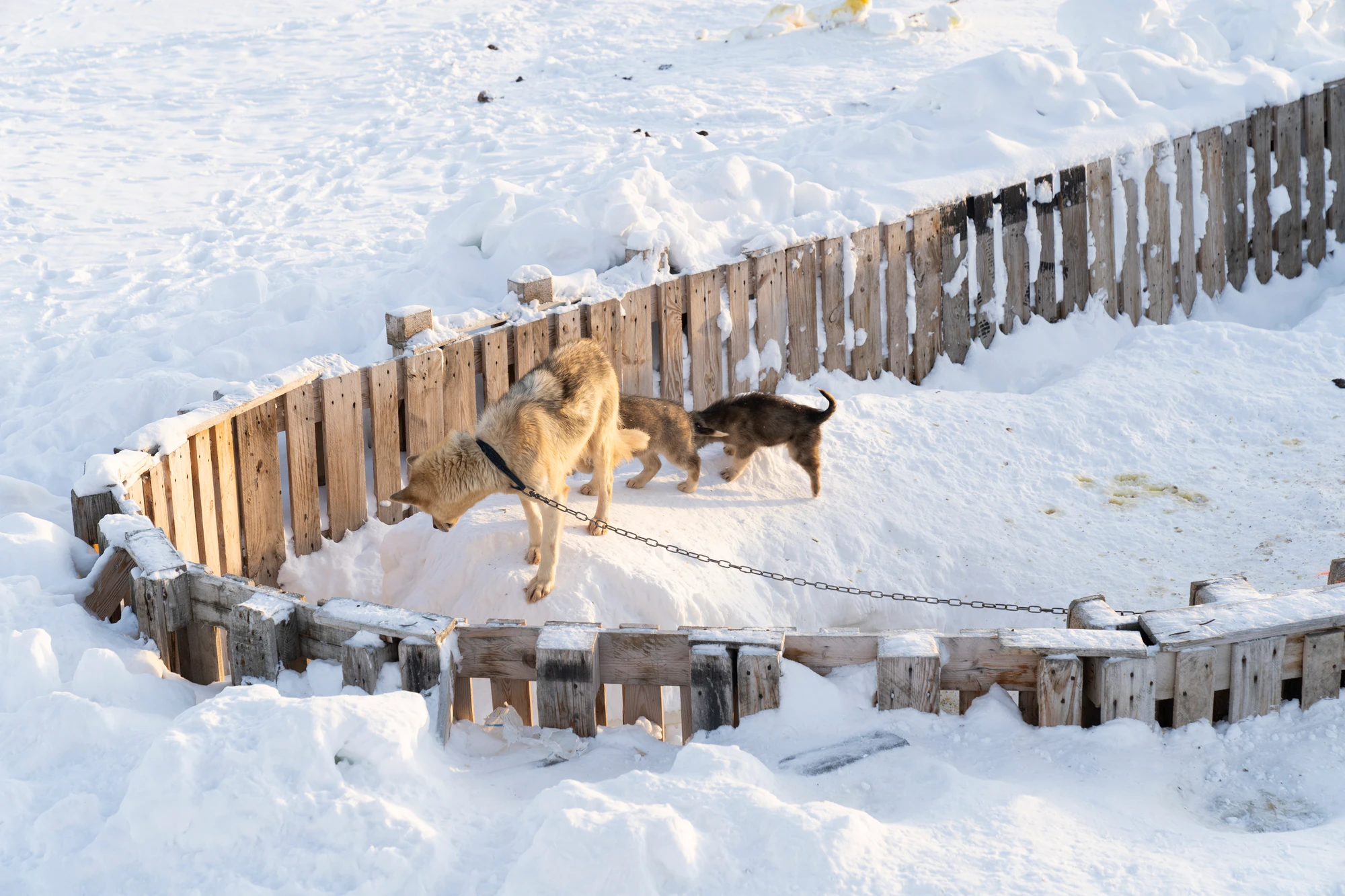 greenland town 059 — Скачать