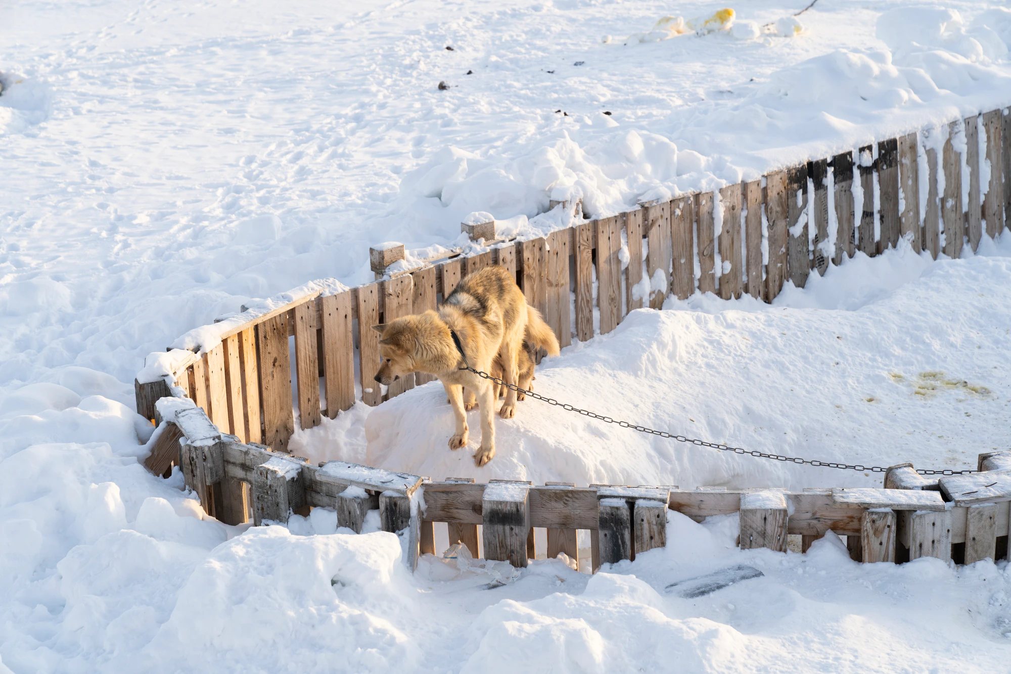 greenland town 061 — Скачать