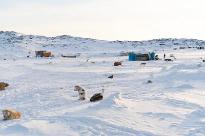 greenland town 070 — Скачать