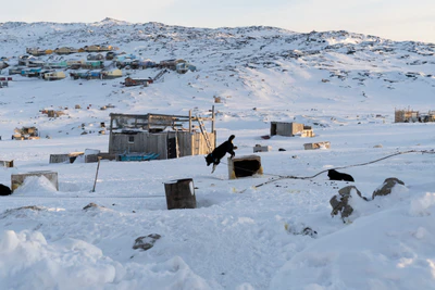 greenland town 071 — Скачать