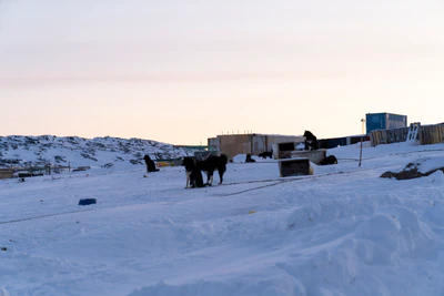 greenland town 079 — Descargar