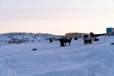 greenland town 080 — Скачать