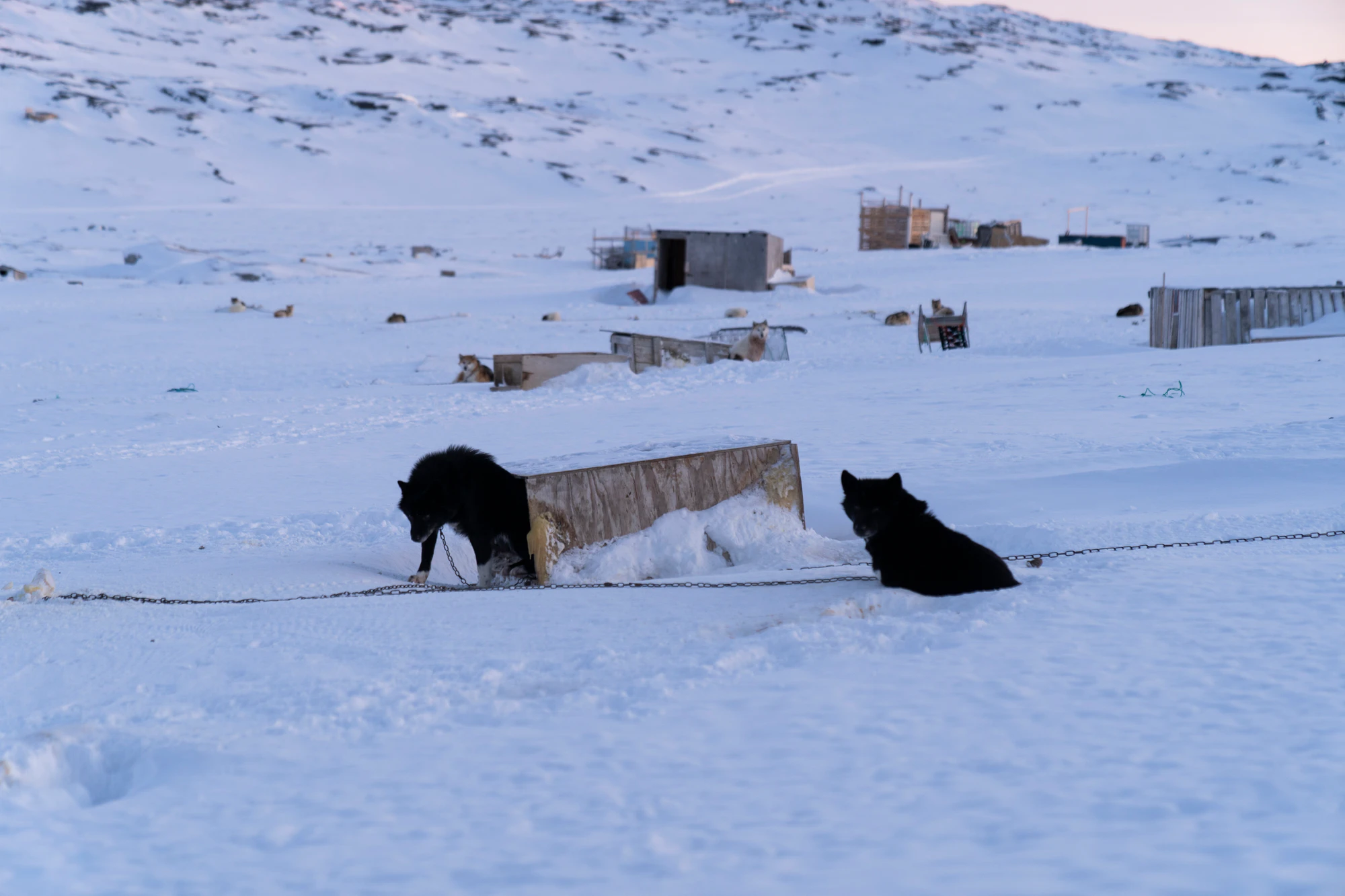 greenland town 081 — Descargar