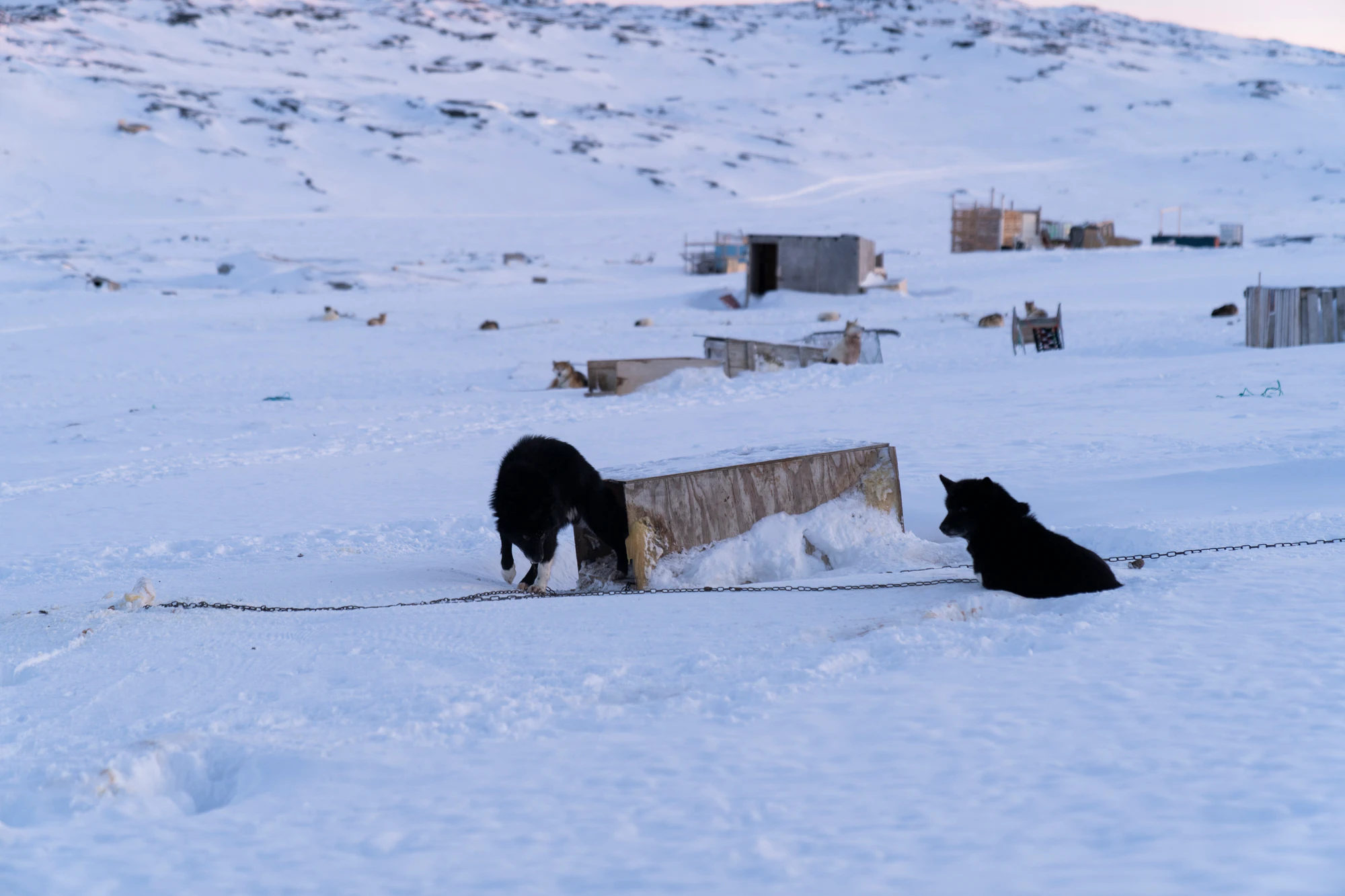 greenland town 082 — Скачать
