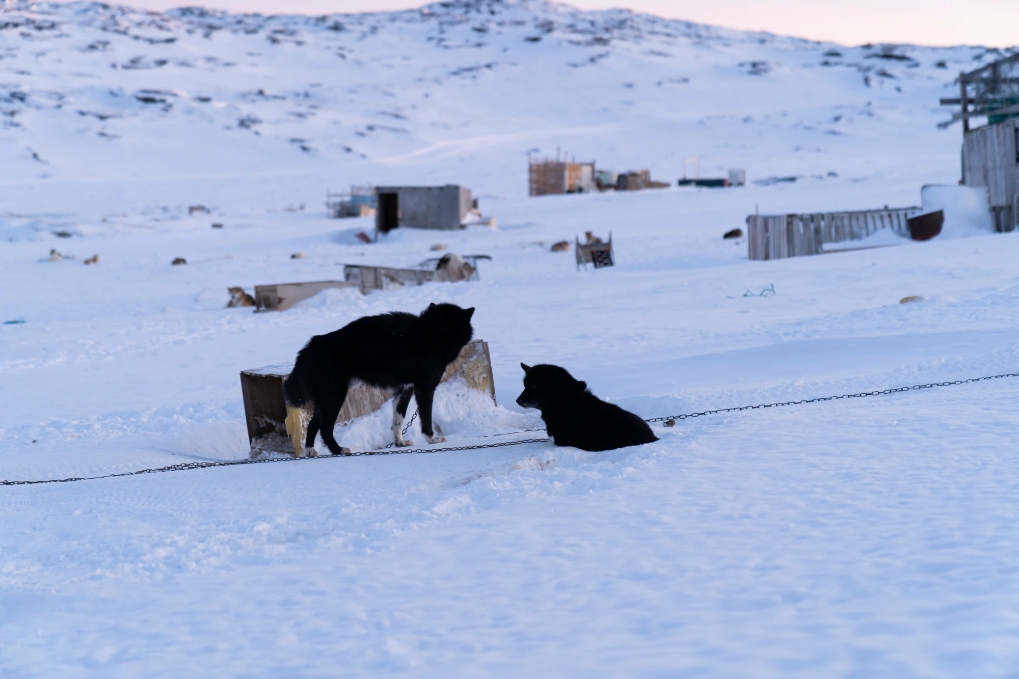 greenland town 084 — Descargar