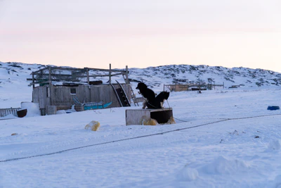 greenland town 085 — Descargar