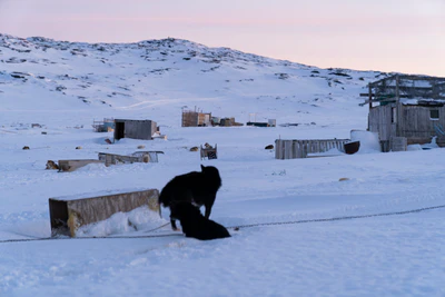 greenland town 086 — Descargar
