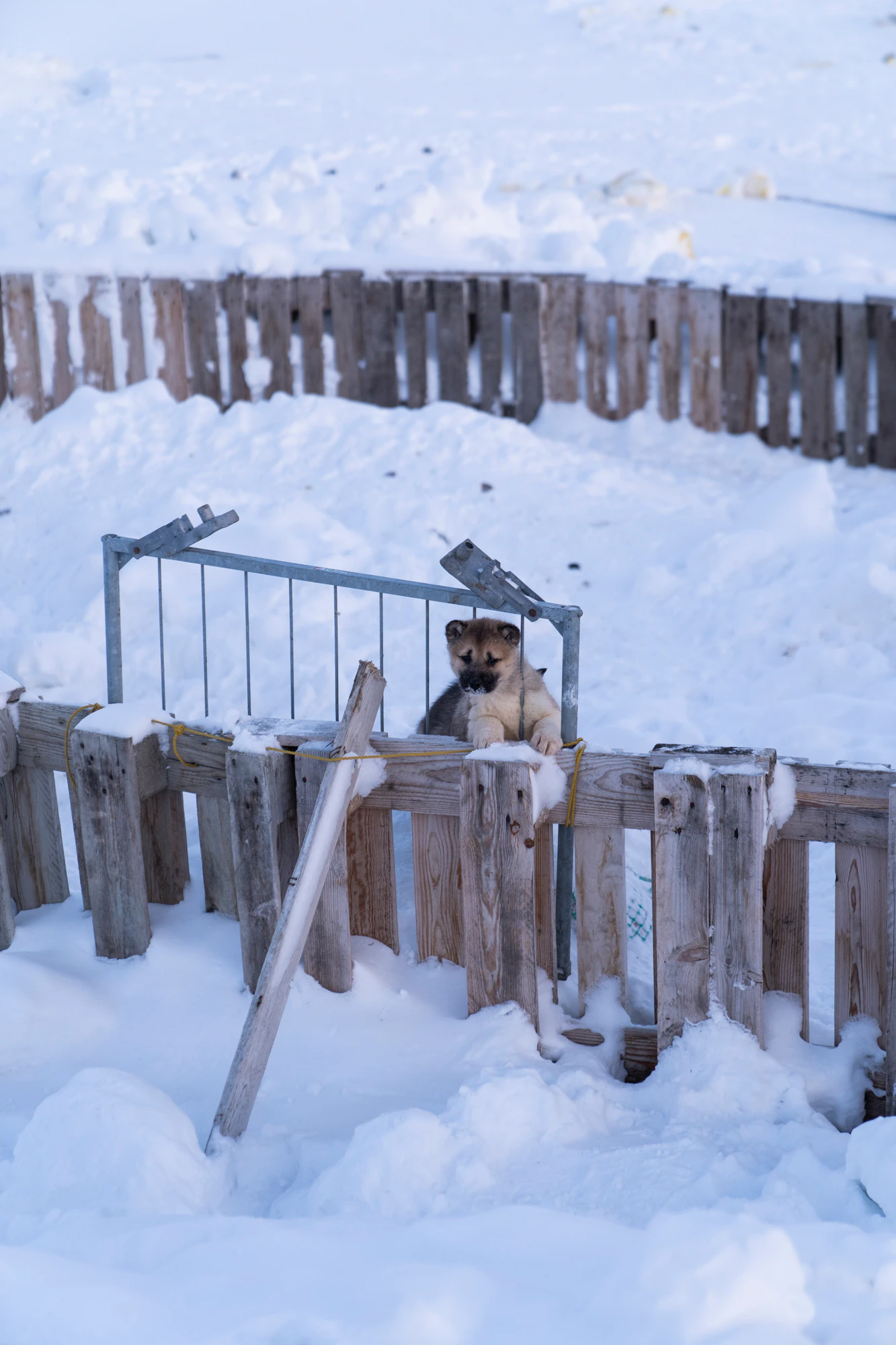 greenland town 088 — Descargar