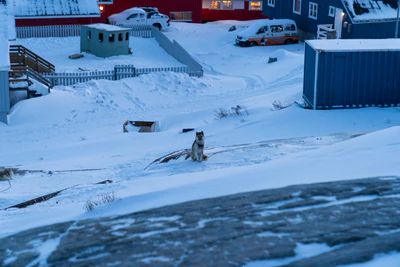 greenland town 176 — Descargar