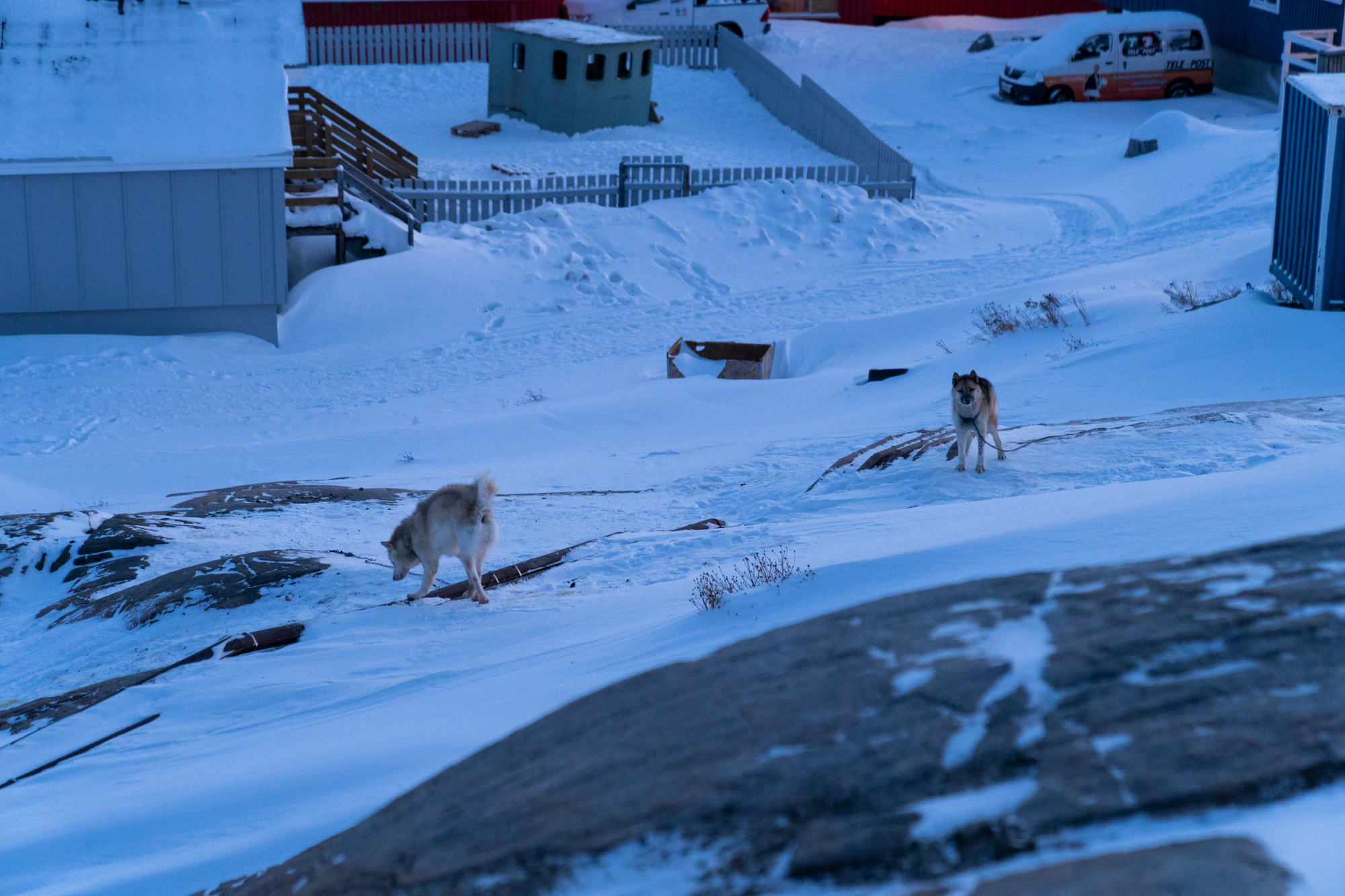 greenland town 177 — Download