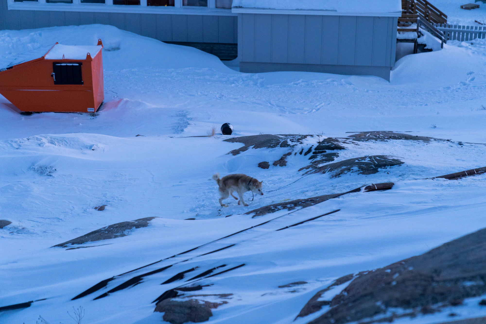 greenland town 181 — Descargar