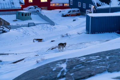 greenland town 182 — Descargar