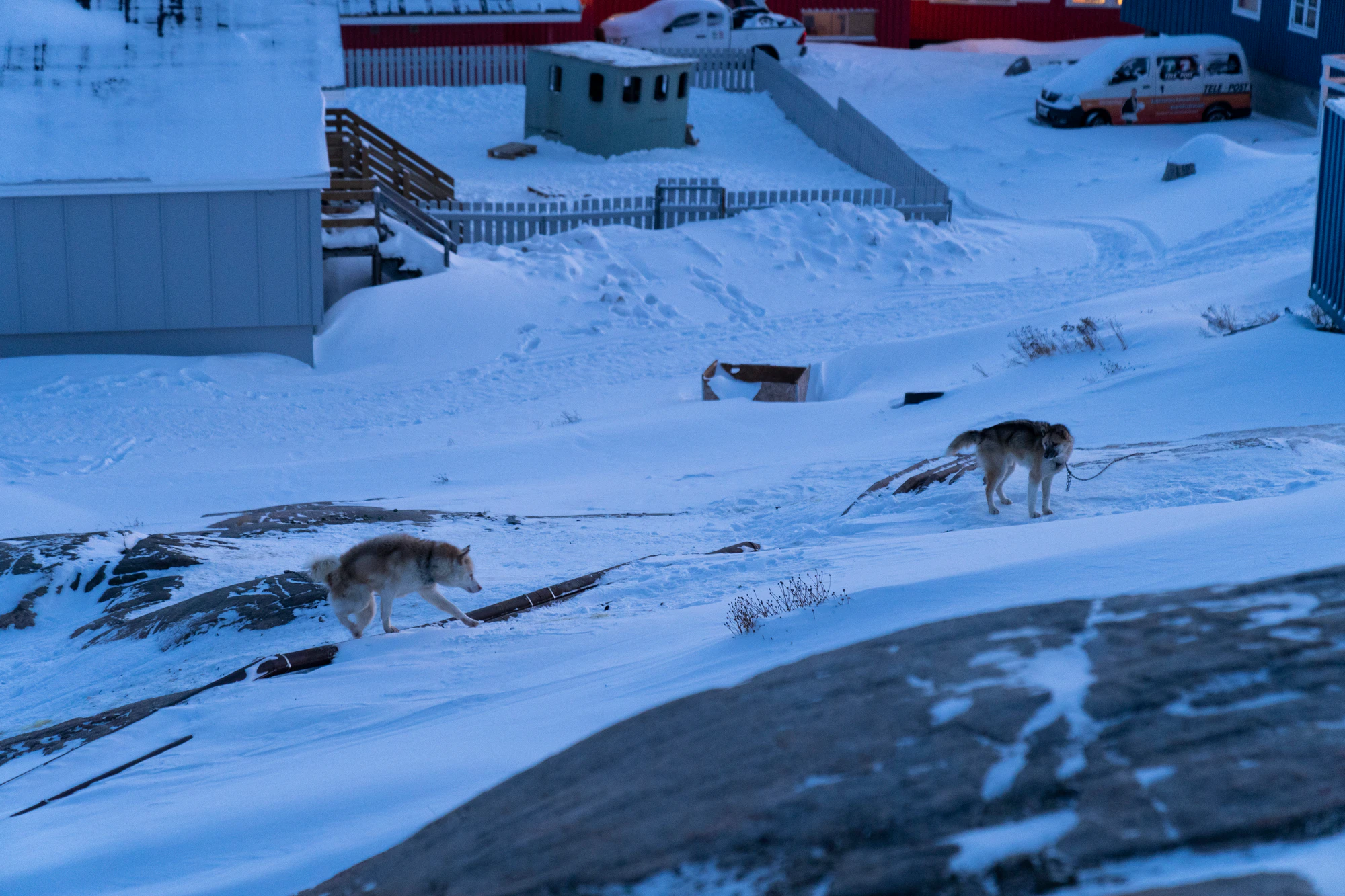 greenland town 183 — Скачать
