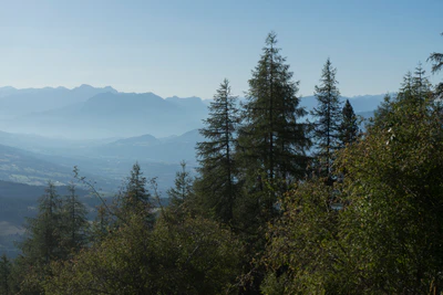 hazy mountains in the morning 016 — Descargar