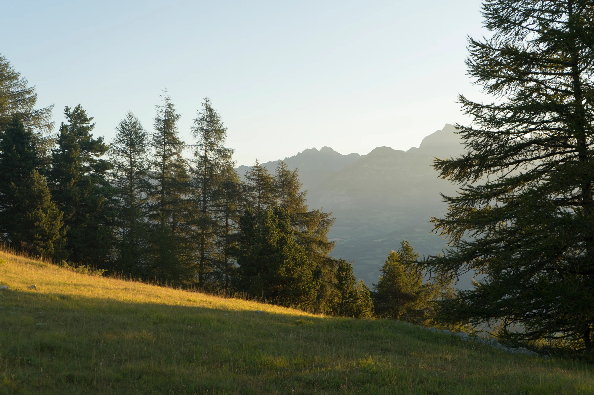 hazy mountains in the morning 051 — Скачать