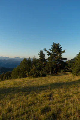 hazy mountains in the morning 062 — Descargar
