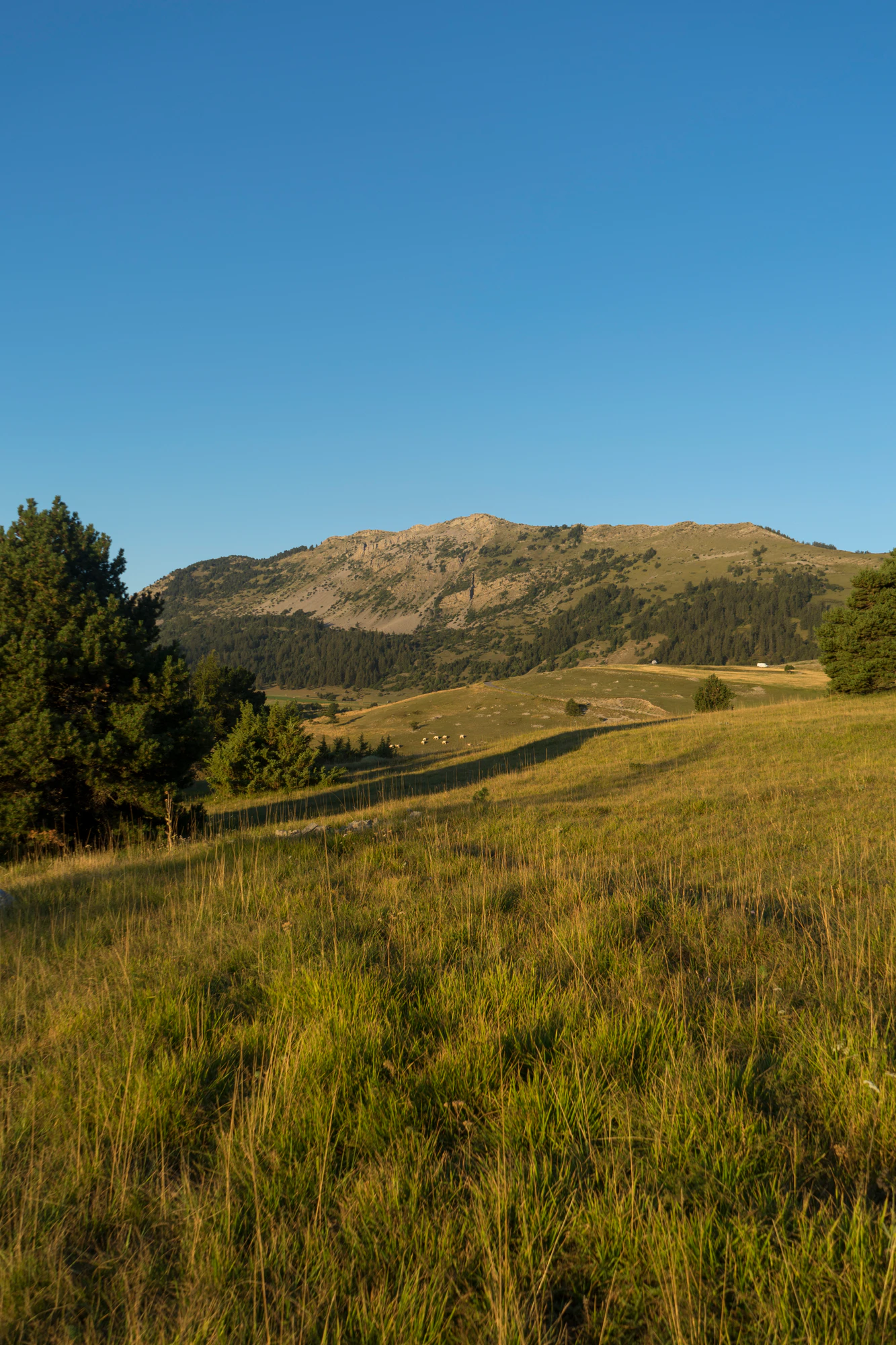 hazy mountains in the morning 064 — Скачать