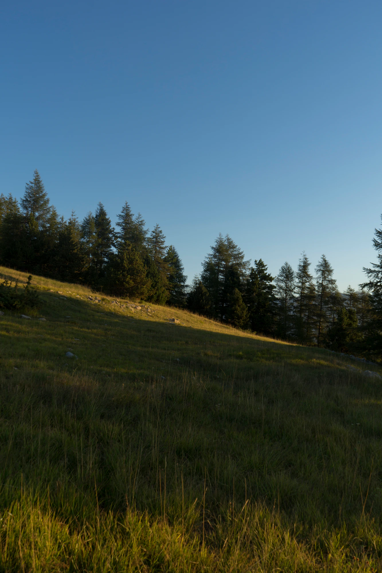 hazy mountains in the morning 070 — Descargar