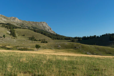 hazy mountains in the morning 100 — скачать
