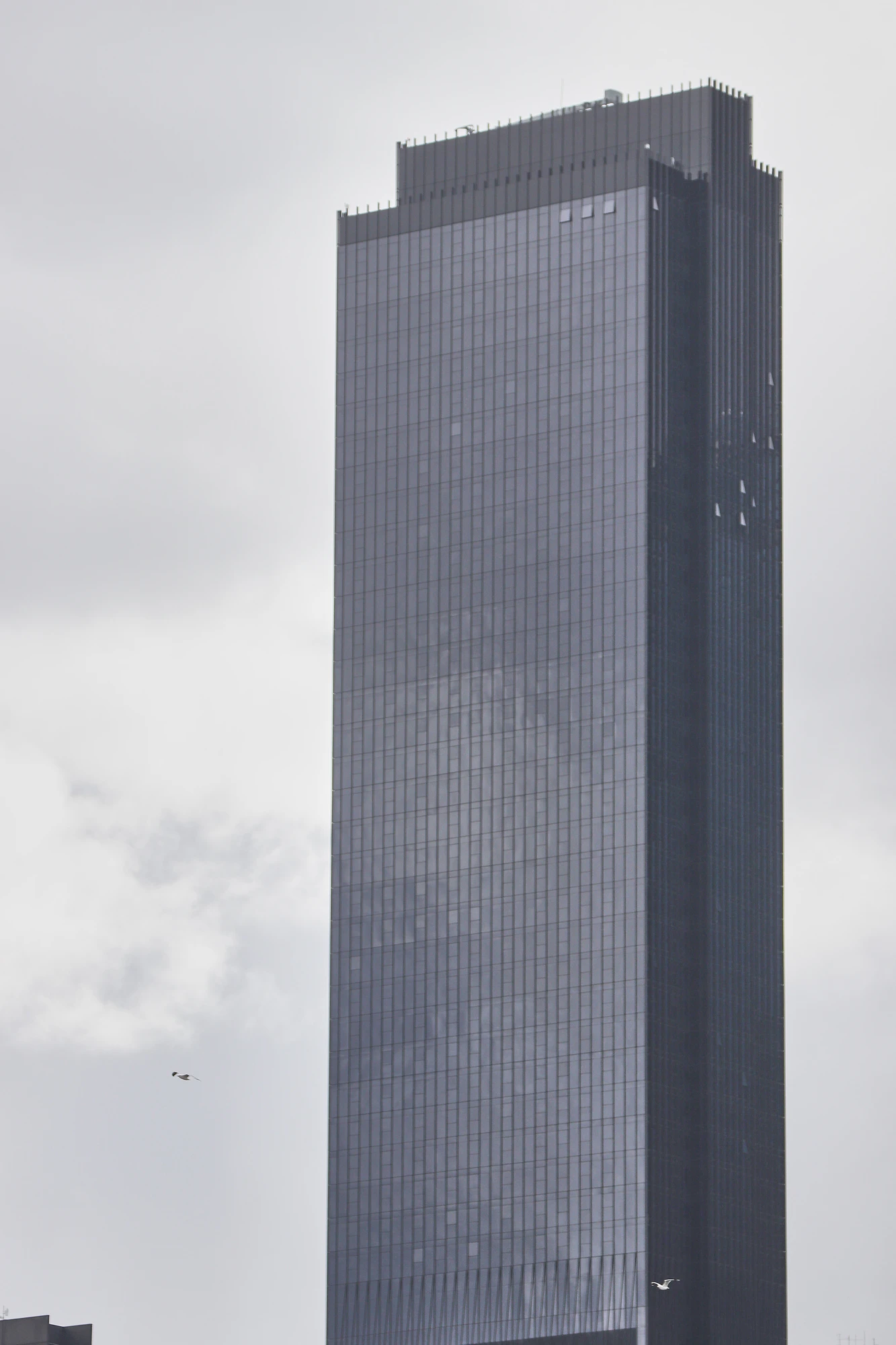 melbourne cityscape 086 — Скачать