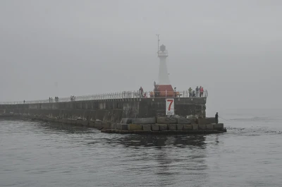 misty coast 001 — Descargar