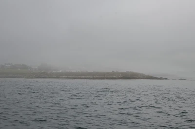misty coast 008 — Скачать