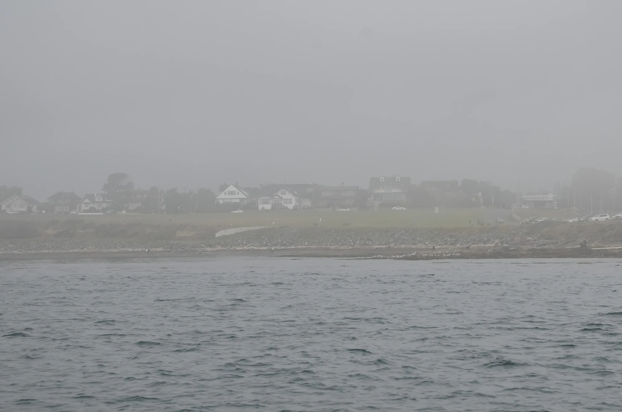 misty coast 009 — Скачать