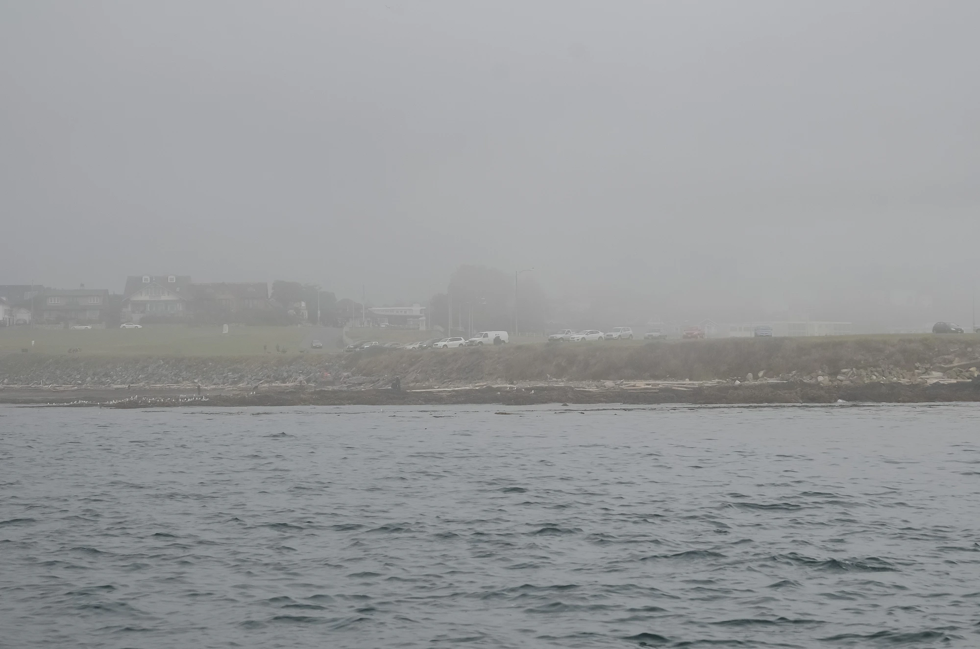 misty coast 010 — Скачать