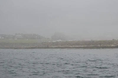 misty coast 010 — Скачать