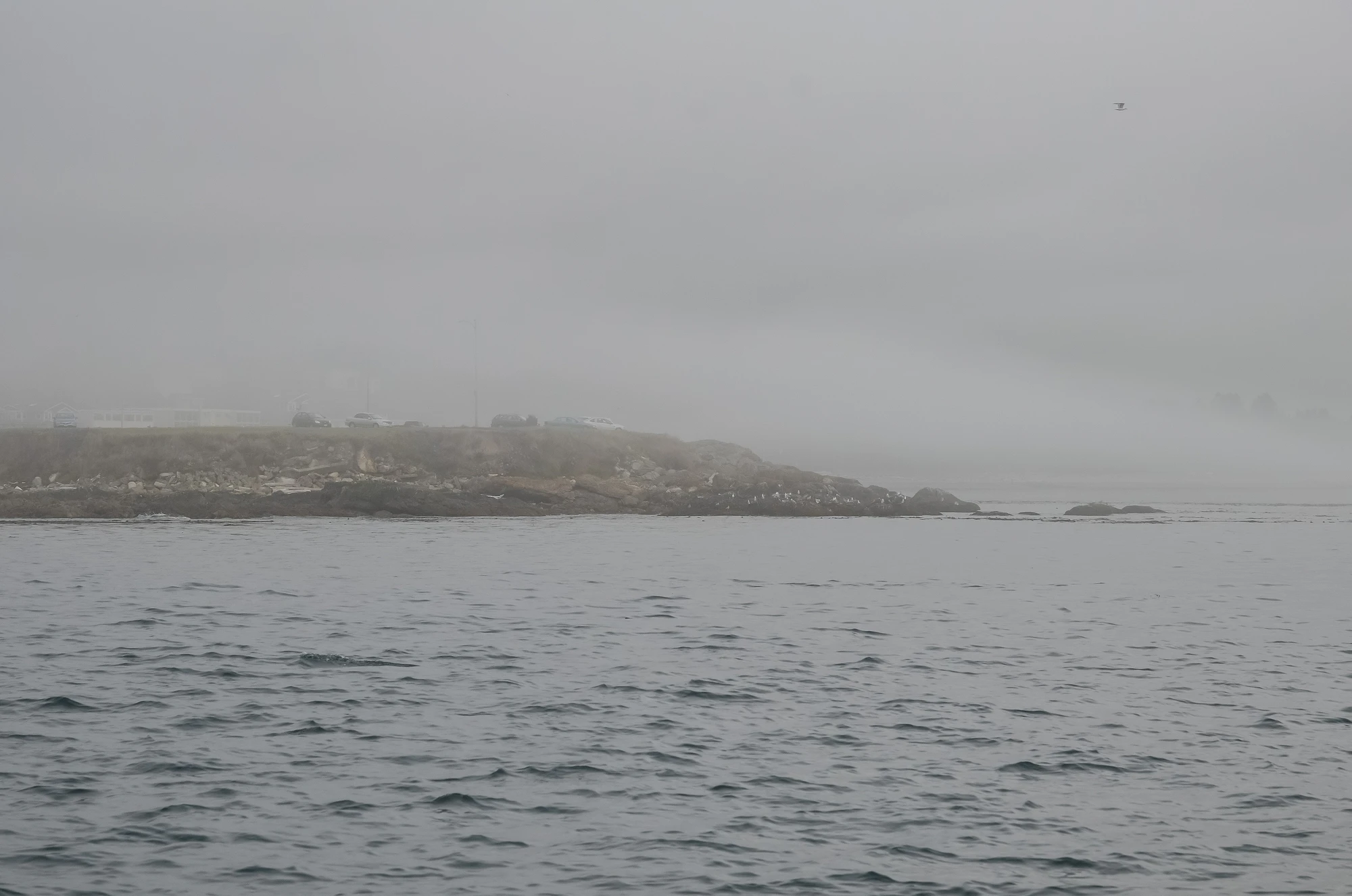 misty coast 011 — Скачать