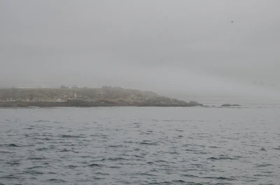 misty coast 011 — Скачать