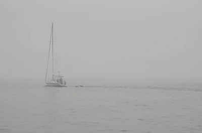 misty coast 012 — Скачать