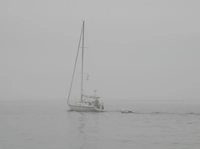 misty coast 013 — Скачать