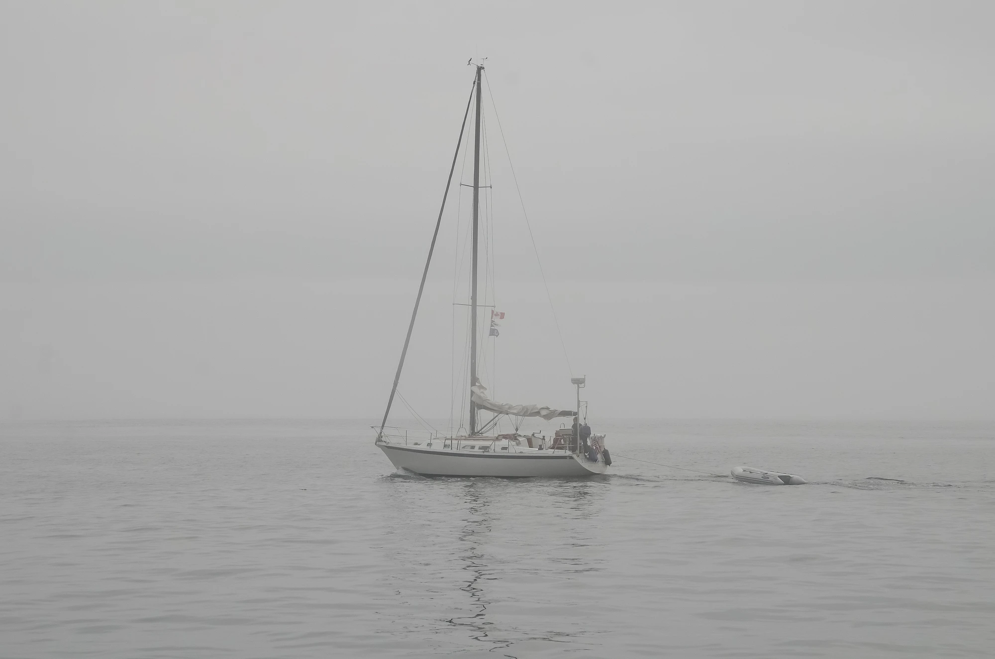 misty coast 015 — Скачать
