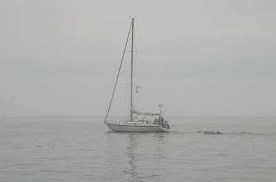misty coast 015 — Скачать