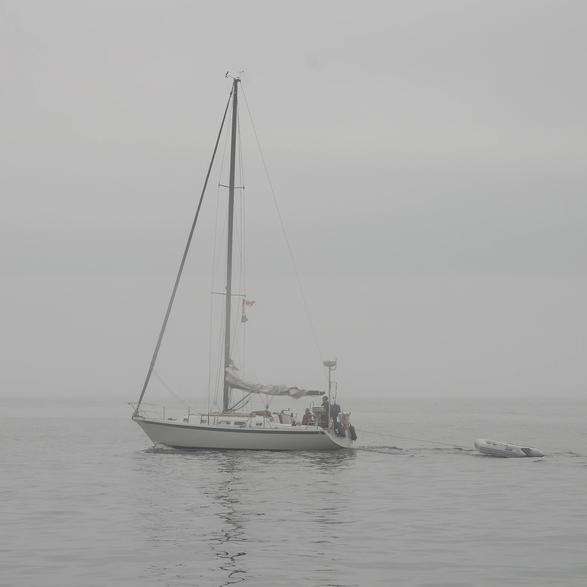 misty coast 016 — Скачать