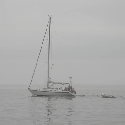 misty coast 016 — Скачать